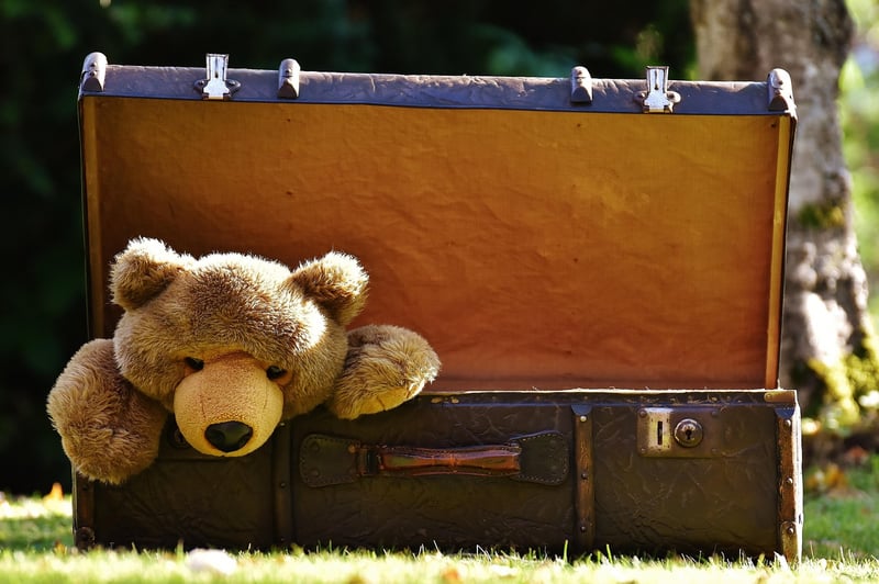 Packing cubes in a suitcase